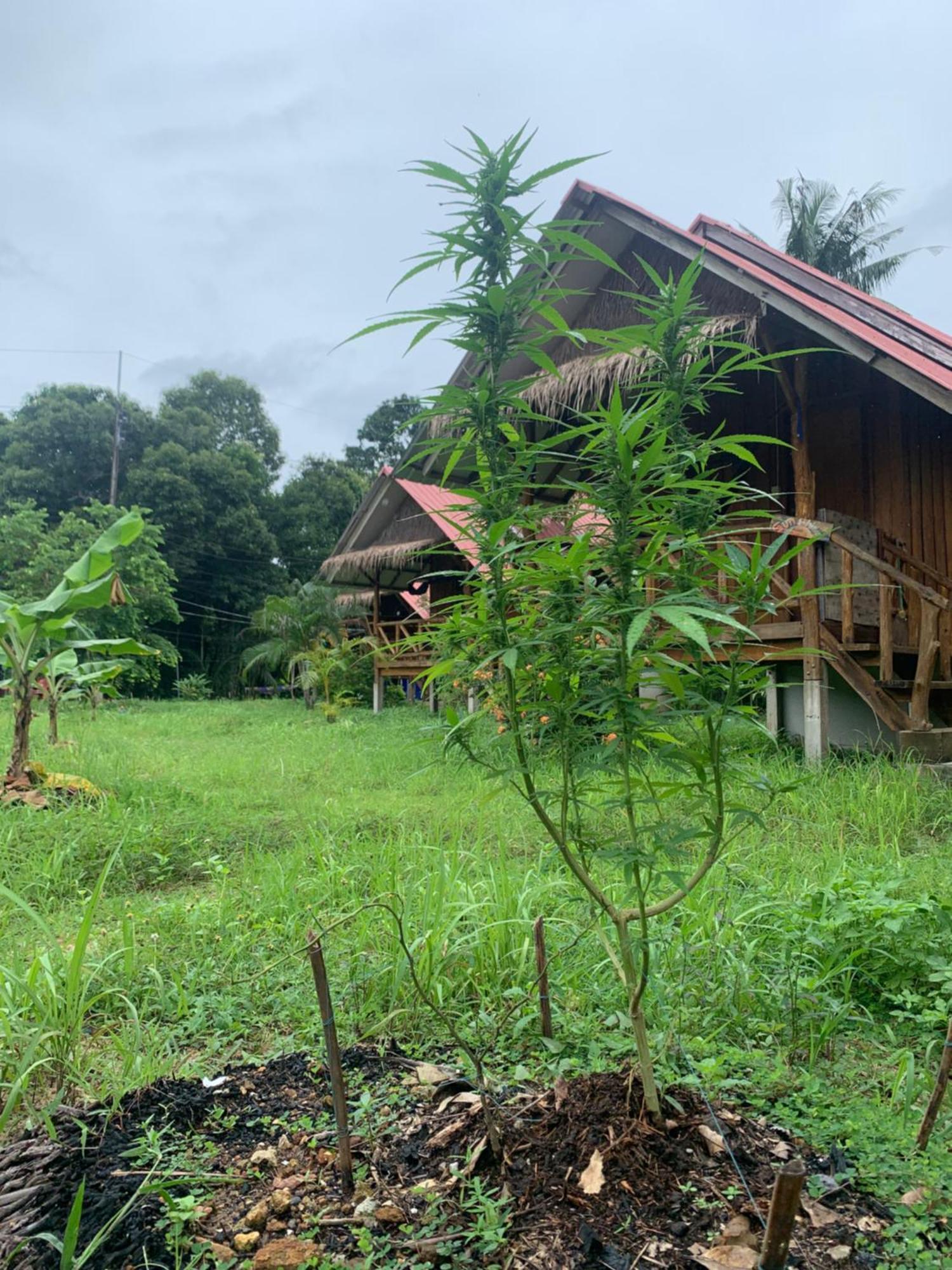 Seree Bungalows & Chill Bar Koh Chang Zewnętrze zdjęcie